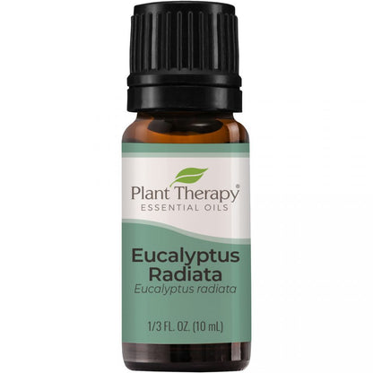 Eucalyptus Radiata Essential Oil - 3rd Day Creation