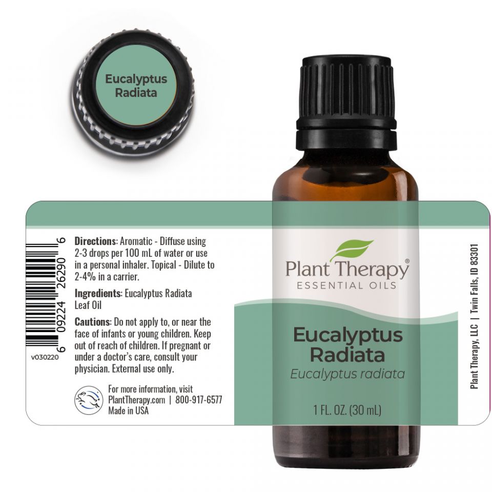 Eucalyptus Radiata Essential Oil - 3rd Day Creation