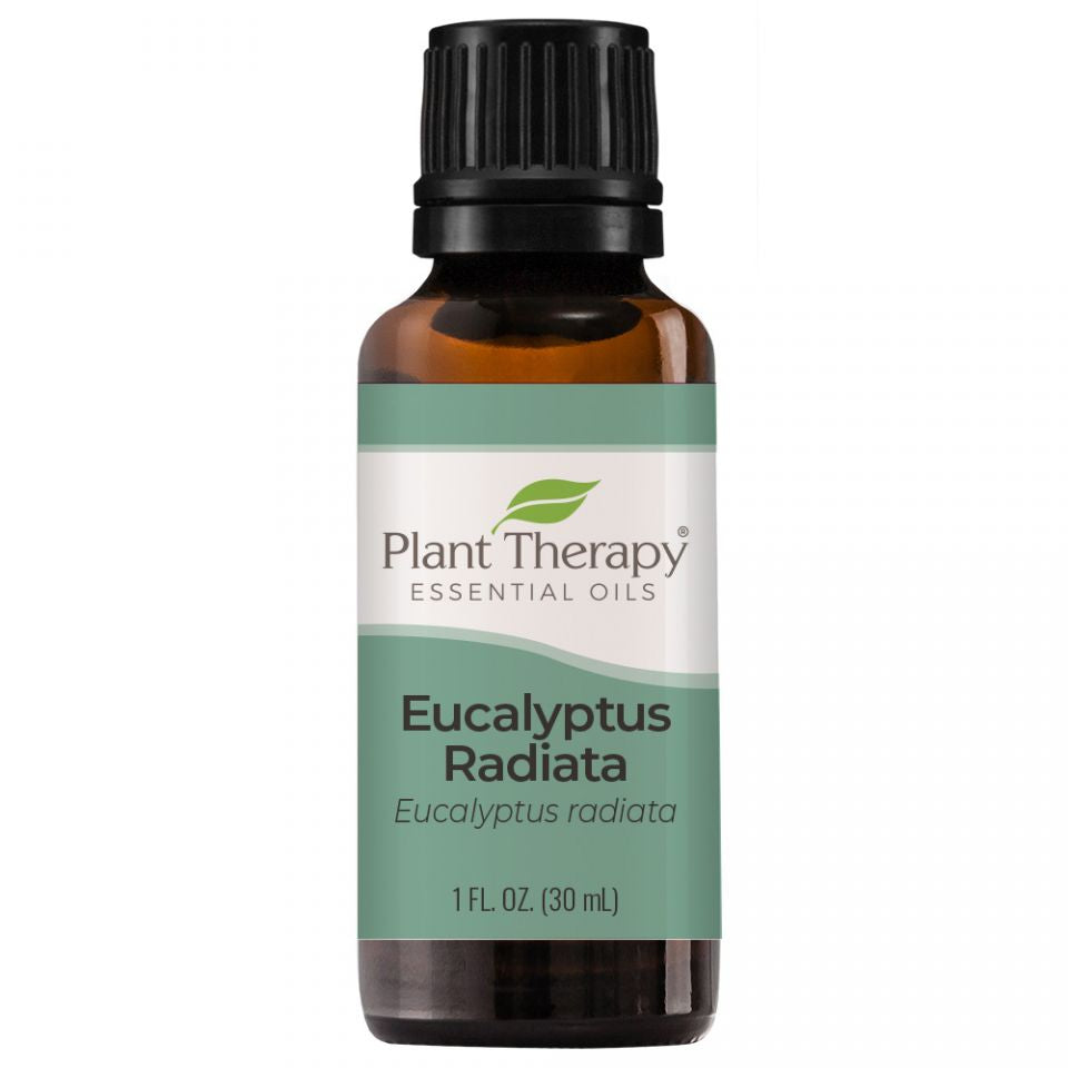 Eucalyptus Radiata Essential Oil - 3rd Day Creation