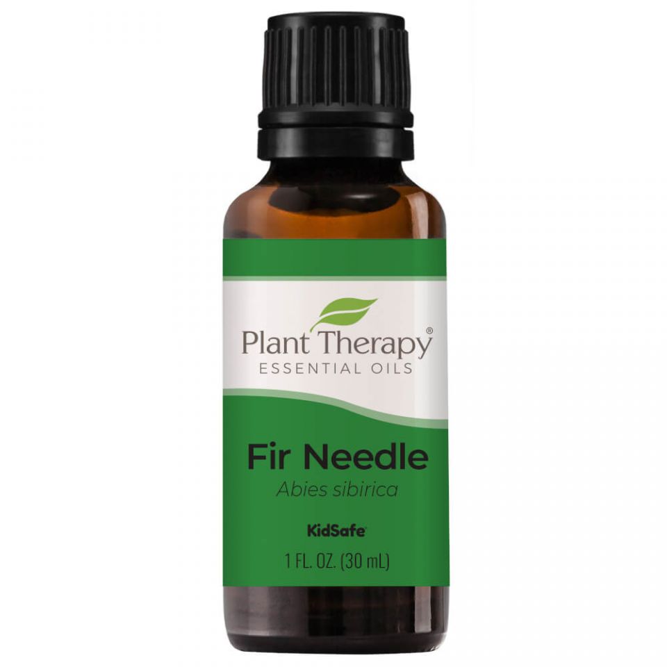 Fir Needle Essential Oil - 3rd Day Creation