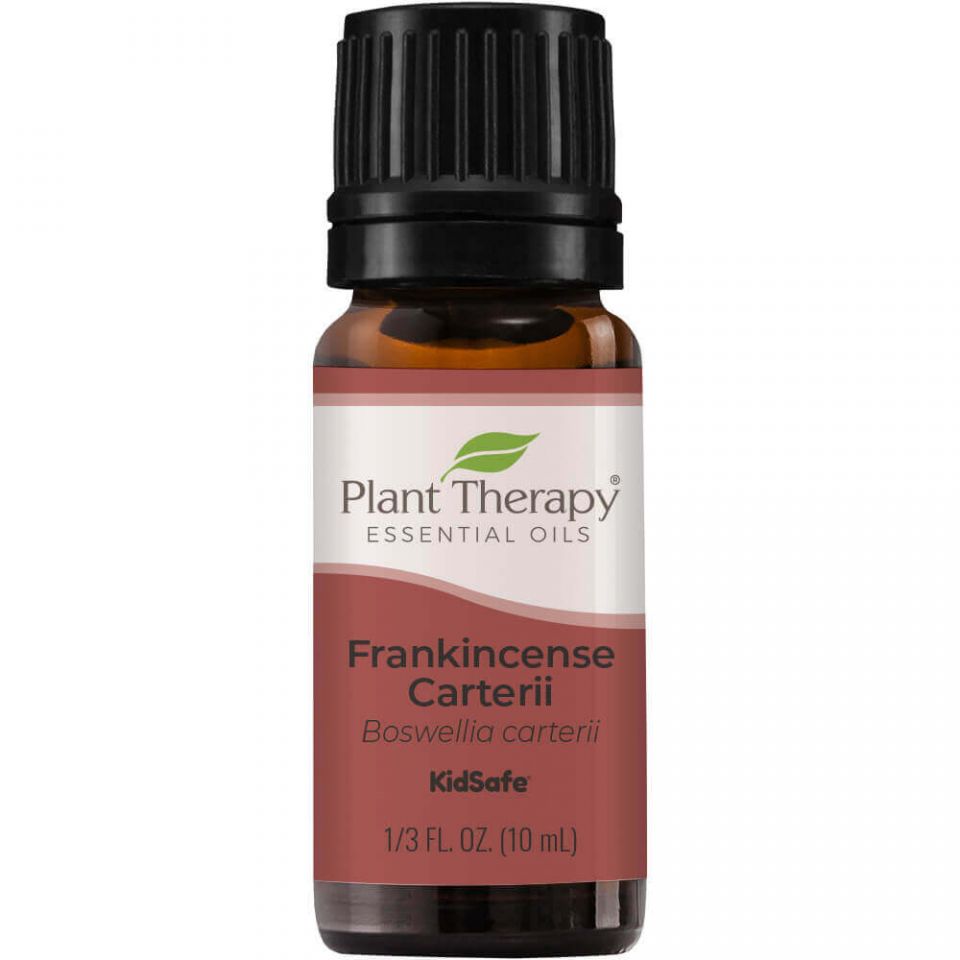 Frankincense Carterii Essential Oil - 3rd Day Creation