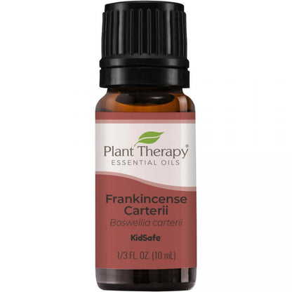 Frankincense Carterii Essential Oil - 3rd Day Creation