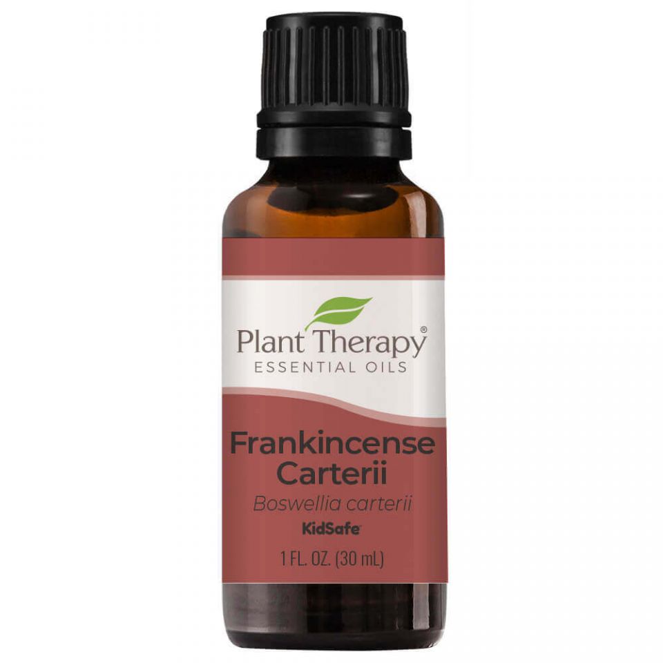 Frankincense Carterii Essential Oil - 3rd Day Creation