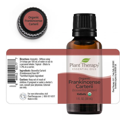 Organic Frankincense Carterii Essential Oil - 3rd Day Creation