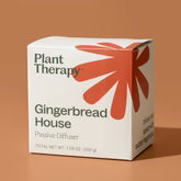 Gingerbread House Passive Diffuser - 3rd Day Creation