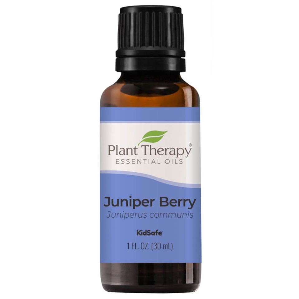 Juniper Berry Essential Oil - 3rd Day Creation