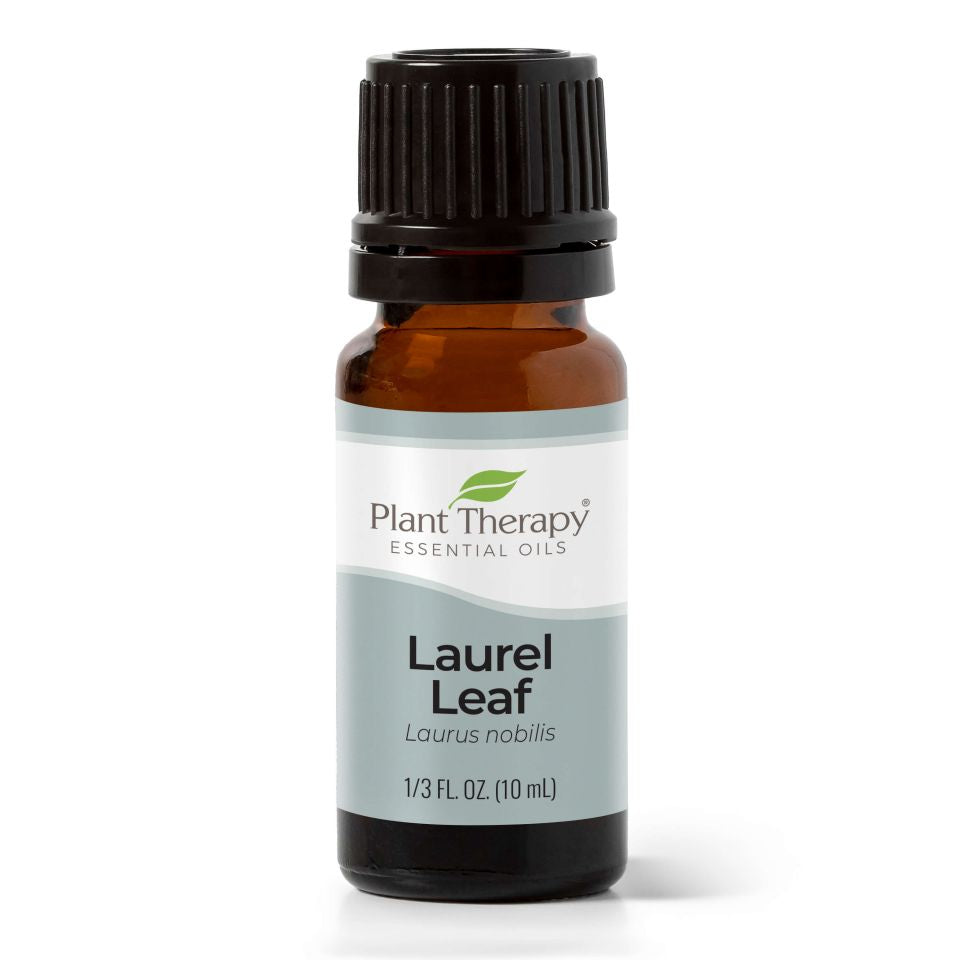 Laurel Leaf Essential Oil - 3rd Day Creation