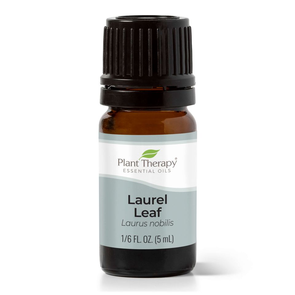 Laurel Leaf Essential Oil - 3rd Day Creation