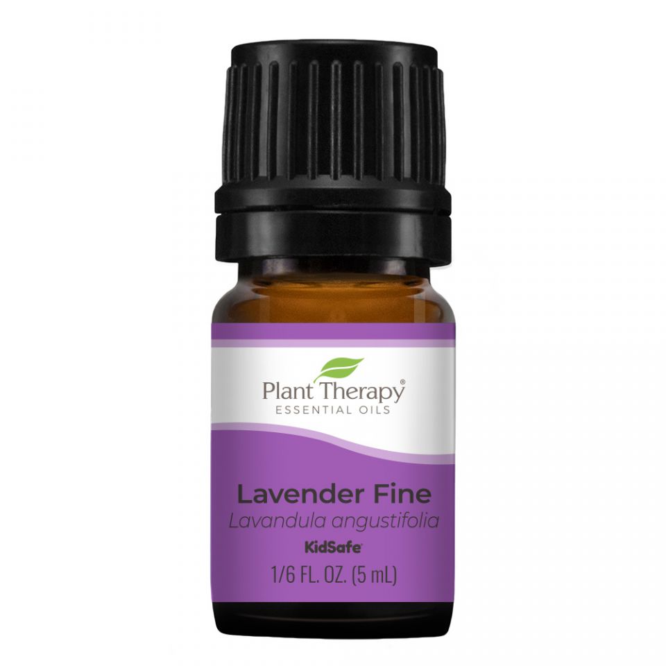 Lavender Fine Essential Oil - 3rd Day Creation