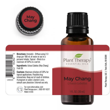 May Chang Essential Oil - 3rd Day Creation