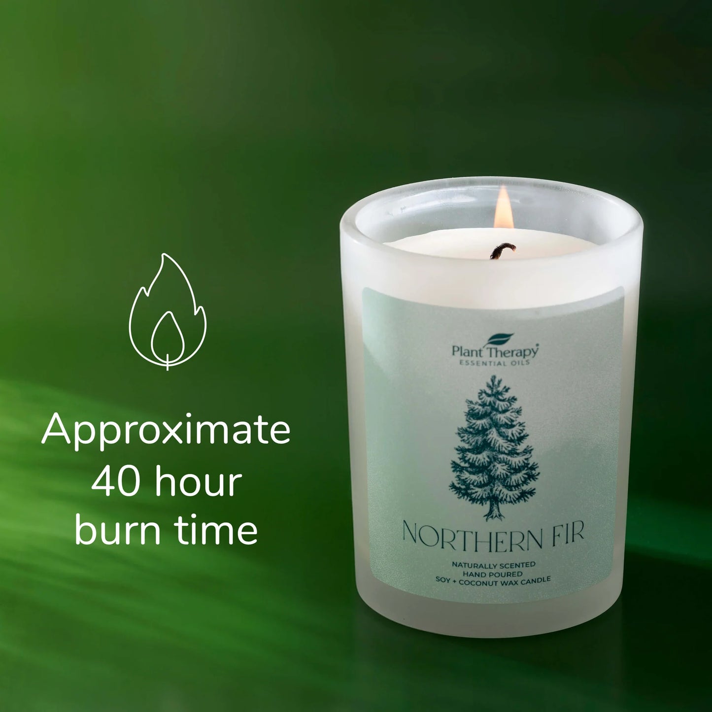 Northern Fir Naturally Scented Candle