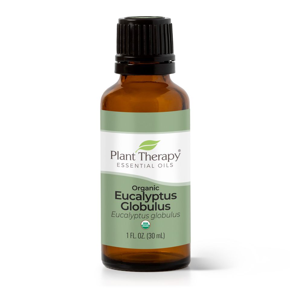 Organic Eucalyptus Globulus Essential Oil - 3rd Day Creation