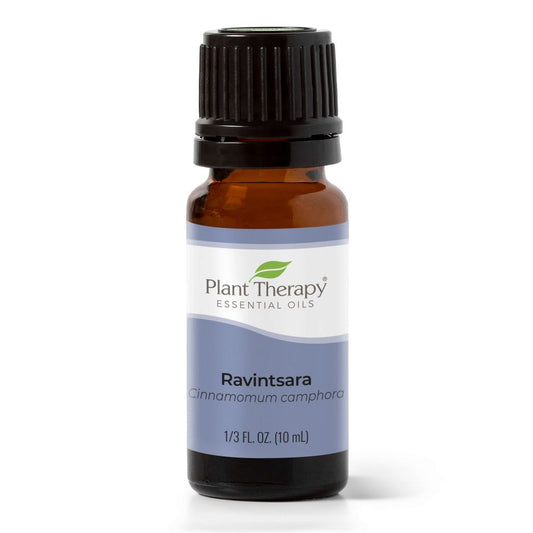 Ravintsara Essential Oil - 3rd Day Creation