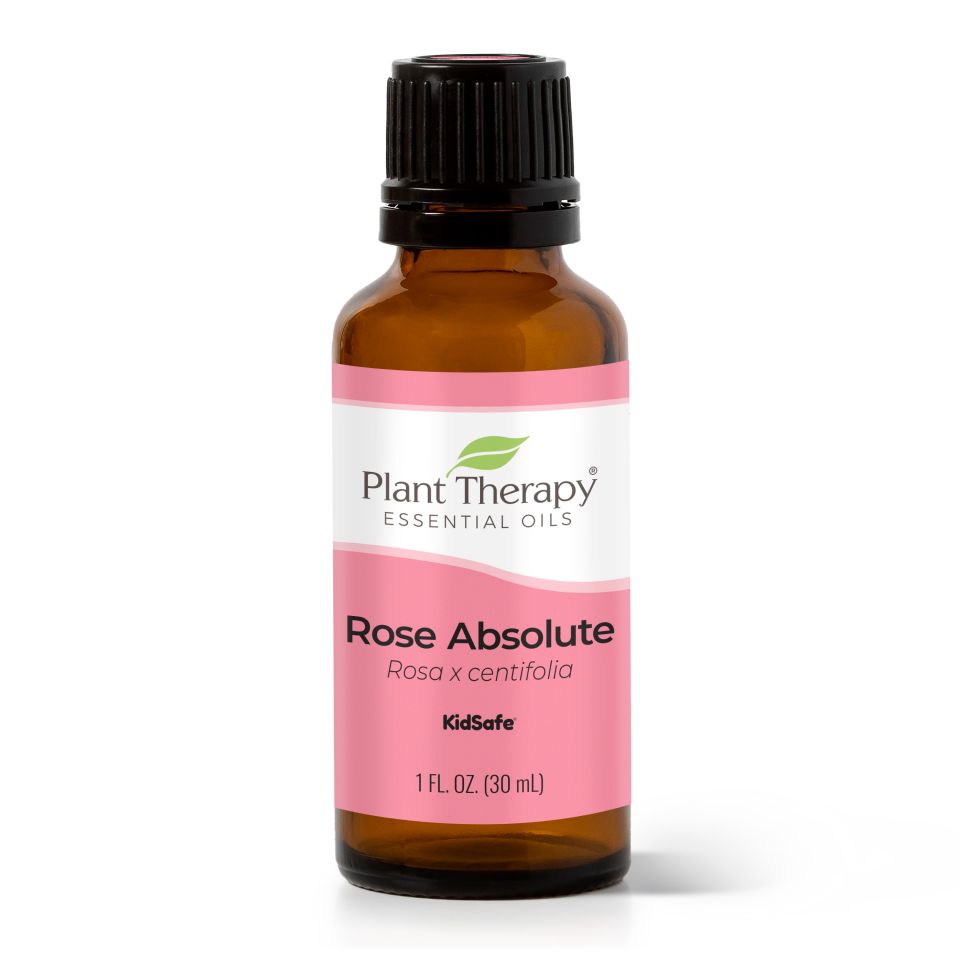 Rose Absolute Essential Oil - 3rd Day Creation