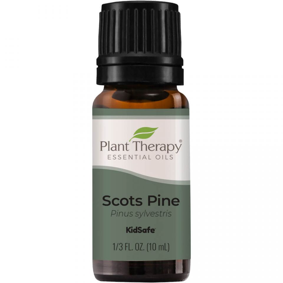 Scots Pine Essential Oil - 3rd Day Creation