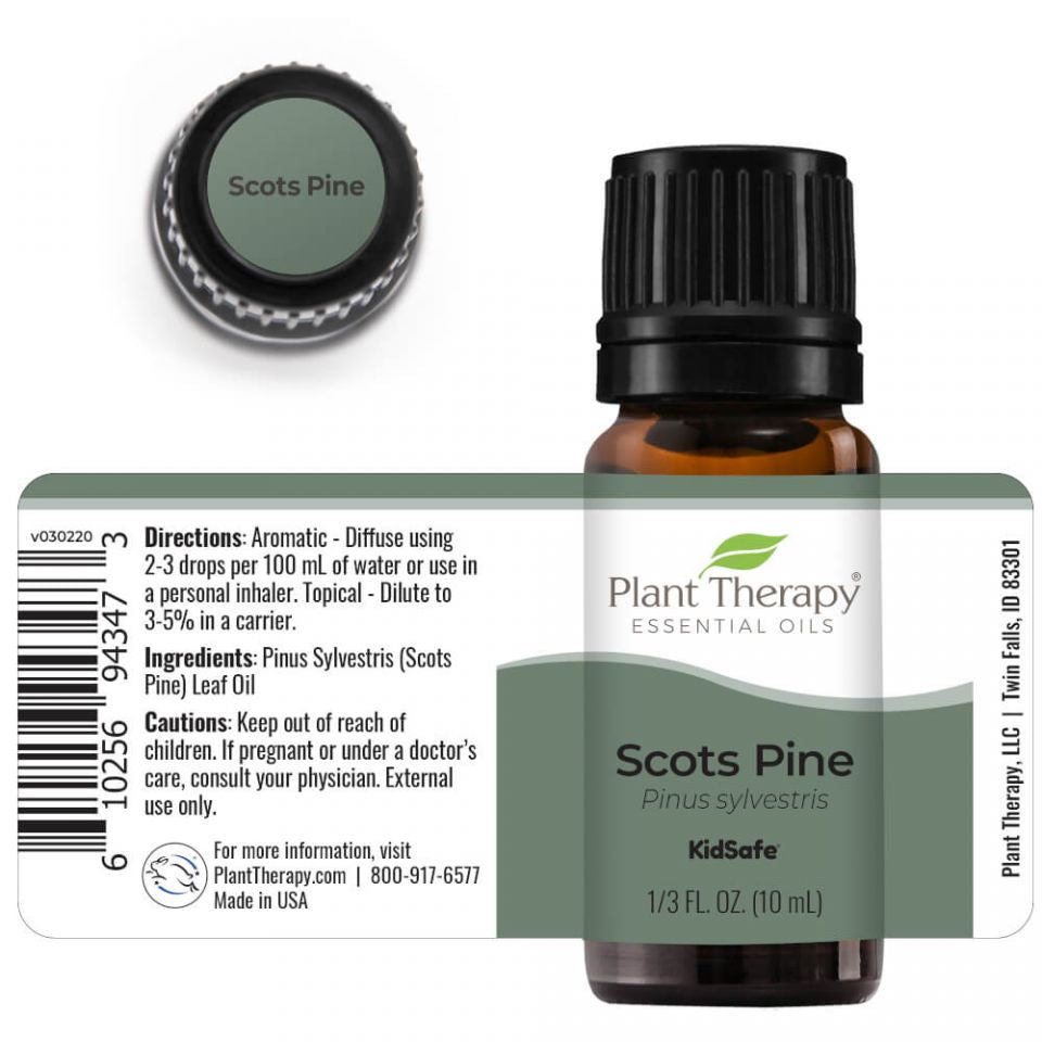 Scots Pine Essential Oil - 3rd Day Creation