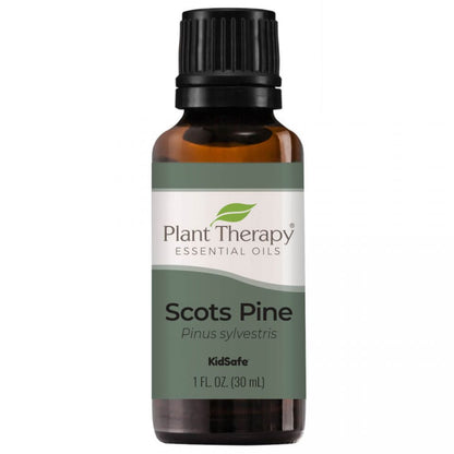 Scots Pine Essential Oil - 3rd Day Creation