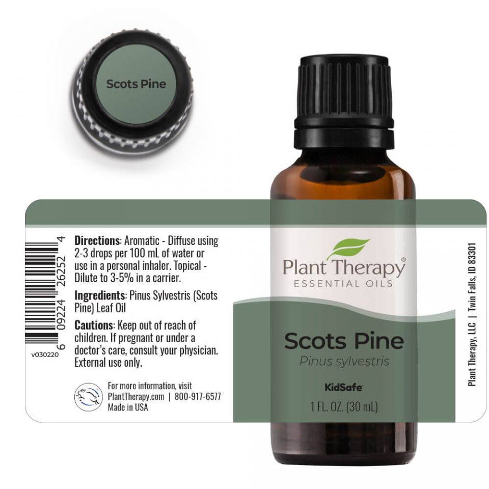 Scots Pine Essential Oil - 3rd Day Creation