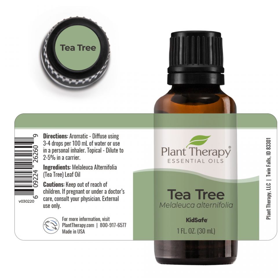 Tea Tree Essential Oil - 3rd Day Creation