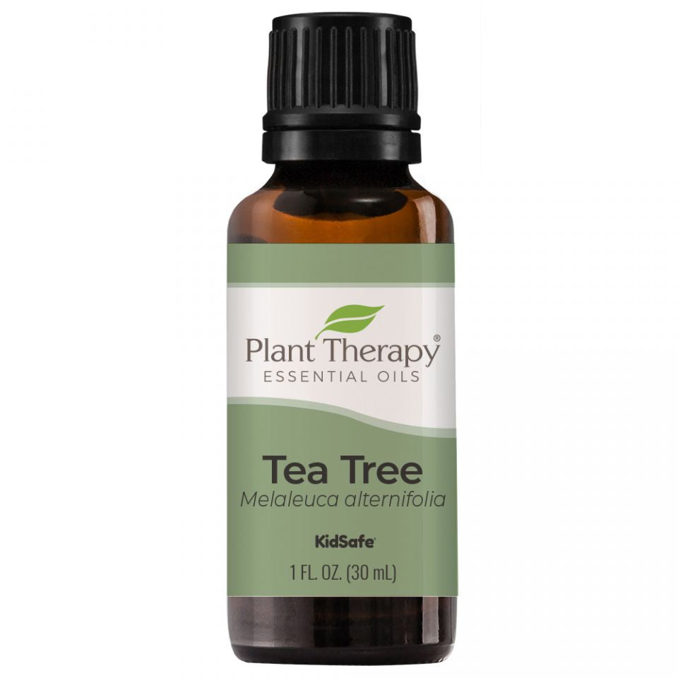 Tea Tree Essential Oil - 3rd Day Creation