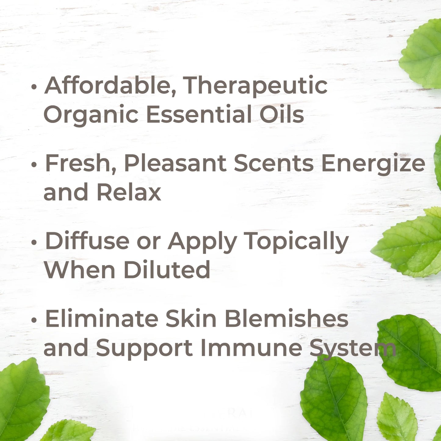 Top 6 Organic Singles Essential Oil Set