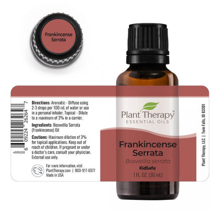 Frankincense Serrata Essential Oil - 3rd Day Creation