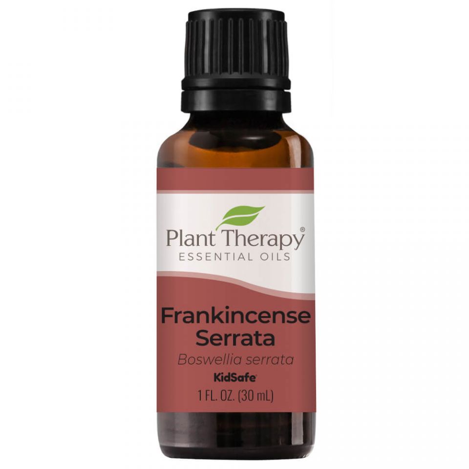 Frankincense Serrata Essential Oil - 3rd Day Creation